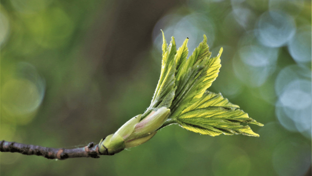 Beratung nachhaltiges Bauen über alle Projektphasen